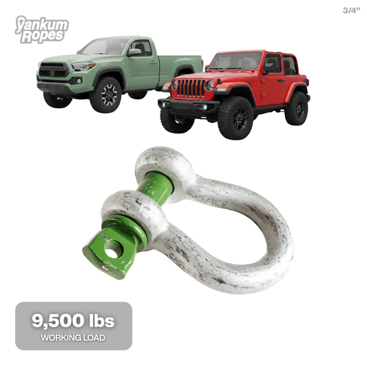 3/4in Green Pin Shackle