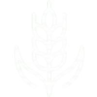 Row Crop & Grain Operations