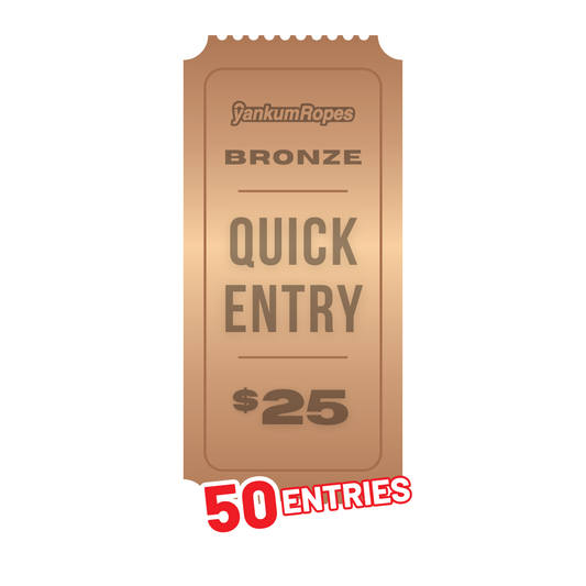 Bronze Quick Entry