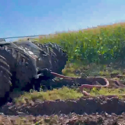 Kinetic Recovery Rope
